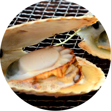 バーベキューの海鮮メニューに貝類は外せない ホタテ ハマグリどう焼くの 三浦半島城ヶ島ビーチサイドで手ぶらバーベキュー